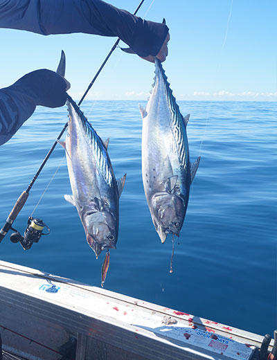 Perry Fishing Gallery