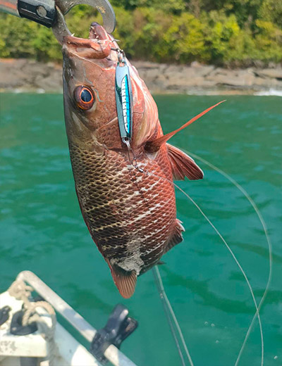 Perry Fishing Gallery